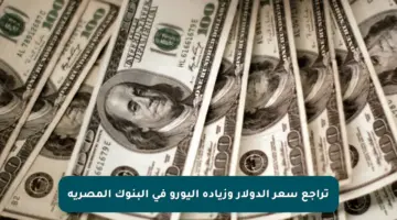 تراجع سعر الدولار وزيادة اليورو في البنوك المصرية